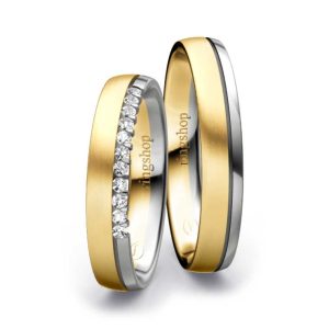 Gelbgold/Platin
